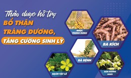 5 thảo dược hỗ trợ bổ thận tr&#225;ng dương, tăng cường sinh l&#253;