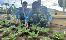 Bộ đội Thông tin tăng gia sản xuất bằng… giun quế và “sâu canxi”