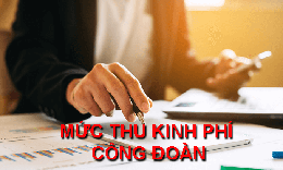 Nghi&#234;n cứu, giảm mức ph&#237; c&#244;ng đo&#224;n từ 2% xuống 1%