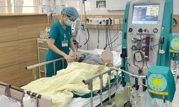 Cả gia đình nhập viện sau ăn nấm rừng, 3 người tử vong