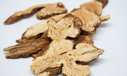 Bạch truật giúp an thai, bổ máu