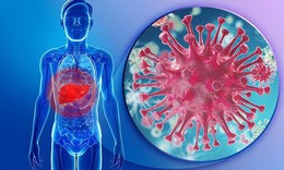 Chung tay đẩy lùi viêm gan virus, xơ gan