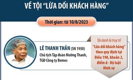 [Infographics] X&#233;t xử Chủ tịch Tập đo&#224;n Mường Thanh L&#234; Thanh Thản