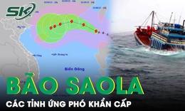 B&#227;o Saola giật cấp 17 đi v&#224;o Biển Đ&#244;ng, s&#243;ng biển cao 4-6m, c&#225;c địa phương khẩn trương ứng ph&#243;