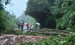 Sạt lở đường từ L&#224;o về Việt Nam, nhiều phương tiện bị mắc kẹt