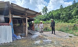 Lợn chết kh&#244;ng b&#225;o c&#225;o, Bắc Kạn b&#249;ng ph&#225;t dịch tả lợn ch&#226;u Phi