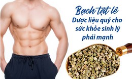 Bạch tật l&#234; – &quot;Viagra&quot; tự nhi&#234;n cho ph&#225;i mạnh