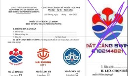 Thực hư tác phẩm lọt vào chung khảo cuộc thi biểu tượng TP Hải Phòng được cho là giống với đơn vị dạy bơi