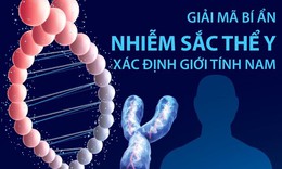 [Infographics] Giải m&#227; b&#237; ẩn nhiễm sắc thể Y x&#225;c định giới t&#237;nh nam