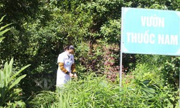 Ch&#250; trọng kế thừa c&#225;c b&#224;i thuốc hay, những phương thuốc qu&#253; ở Bắc Kạn
