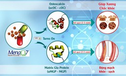 Sắp diễn ra Hội thảo khoa học: “MenaQ7 (Vitamin K2) với sức khỏe xương v&#224; tim mạch 2023” tại H&#224; Nội