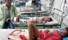 Người mẹ và 3 con nhỏ ở Quảng Nam bị ong vò vẽ tấn công, một ca nguy kịch