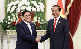 Thủ tướng hội kiến Tổng thống Indonesia, tiếp Tổng Gi&#225;m đốc IMF