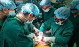 Bệnh viện HNĐK Nghệ An lần đầu ti&#234;n thực hiện lấy, gh&#233;p tạng từ người cho chết n&#227;o