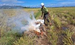 Ti&#234;u hủy h&#224;ng trăm dụng cụ bẫy, giải cứu chim trời