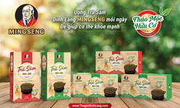 Tr&#224; s&#226;m đinh lăng – sản phẩm cho người Việt