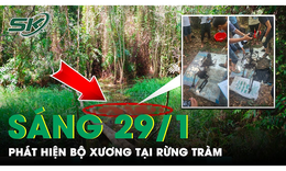 S&#225;ng 29/1: Người d&#226;n b&#224;ng ho&#224;ng ph&#225;t hiện một bộ xương trong rừng tr&#224;m ở Tiền Giang