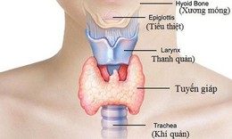 Suy gi&#225;p bẩm sinh: Nguy&#234;n nh&#226;n, triệu chứng, c&#225;ch điều trị v&#224; ph&#242;ng bệnh