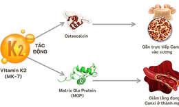 Thiếu Vitamin K2 ảnh hưởng sức khỏe trẻ thế n&#224;o