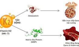 Vitamin K2 - Sự thật c&#243; thể bạn chưa biết