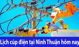 Lịch c&#250;p điện h&#244;m nay Thứ 3 ng&#224;y 12/11/2024 tại Ninh Thuận