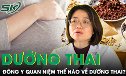 Quan điểm dưỡng thai ở Đông y có gì đặc biệt?
