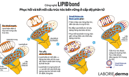 Sức mạnh khoa học c&#244;ng nghệ Lipid Bond của LABORIE derma gi&#250;p phục hồi t&#243;c hư tổn chỉ với 1 lần sử dụng trong 8 ph&#250;t