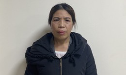 Bắt nữ gi&#225;m đốc dụ kh&#225;ch mua đất rồi chiếm đoạt t&#224;i sản