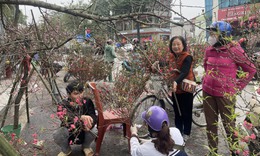 Siêu thị chật cứng khách mua sắm Tết