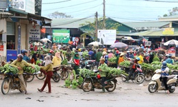 Thăm phi&#234;n chợ chỉ b&#225;n duy nhất một loại quả