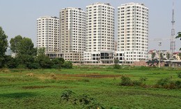 Chi tiết quy định điều kiện, tiêu chí chuyển đất trồng lúa, đất rừng sang thực hiện dự án