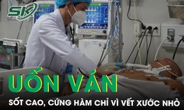 Sốt cao, cứng cổ, cứng h&#224;m mắc uốn v&#225;n chỉ v&#236; vết xước ở ch&#226;n 