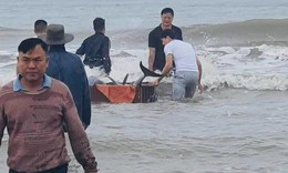 H&#224;nh động đầy t&#237;nh nh&#226;n văn của người d&#226;n bỏ tiền mua c&#225; heo thả về biển