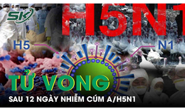 Bệnh nh&#226;n c&#250;m A/H5N1đ&#227; tử vong, những người tiếp x&#250;c theo d&#245;i sức khỏe