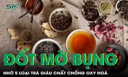 Đốt ch&#225;y mỡ bụng với 5 loại tr&#224; gi&#224;u chất chống oxy h&#243;a