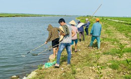 Th&#244;ng tin mới vụ c&#225; tr&#234;n s&#244;ng &#212; Giang li&#234;n tục chết kh&#244;ng r&#245; nguy&#234;n nh&#226;n