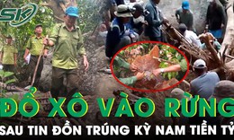 Thực hư lời đồn trúng kỳ nam tiền tỷ khiến hàng trăm người đổ xô vào rừng tìm 'vận may trời cho'