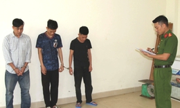 Bắt giữ 3 đối tượng trộm hơn 2 tấn chó