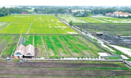 Đề xuất quy định mới về miễn, giảm tiền thuê đất