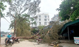 D&#244;ng lốc nhấn ch&#236;m 8 t&#224;u thuyền ở đảo C&#244; T&#244;