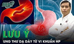 Vi khuẩn HP c&#243; l&#224; nguy&#234;n nh&#226;n g&#226;y ung thư dạ d&#224;y?