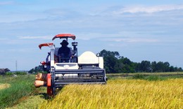 &#39;Giải b&#224;i to&#225;n&#39; hạn h&#225;n, x&#226;m nhập mặn do nắng n&#243;ng k&#233;o d&#224;i