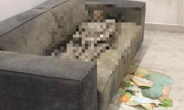 Điều tra thi thể nữ giới 'chết khô' trên sofa trong căn hộ cao cấp