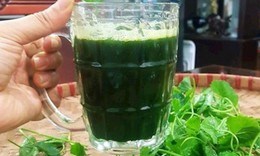 Bài thuốc chữa bệnh từ rau má