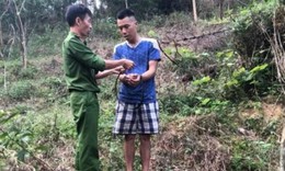 Đ&#227; bắt được phạm nh&#226;n vượt ngục trốn trong rừng sến Tam Quy