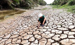 Tỉnh đầu ti&#234;n c&#244;ng bố t&#236;nh trạng khẩn cấp về hạn mặn, l&#224;m g&#236; để ứng ph&#243;?