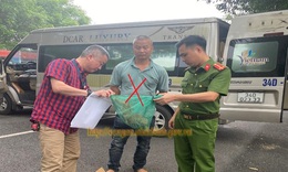 Bắt người đàn ông vận chuyển trái phép 2 cá thể Culi còn sống