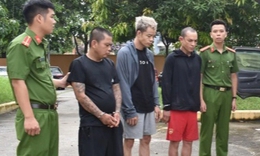 Bắt giữ 3 đối tượng gây ra hàng loạt vụ trộm cắp liên tỉnh