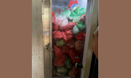Bắt gần 3 tấn chân bò, lá lách lợn đang phân huỷ, bốc mùi trong tủ lạnh