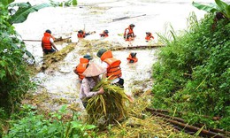 Từ 14-17/6 v&#249;ng n&#250;i v&#224; trung du Bắc Bộ c&#243; mưa to đến rất to, Thủ tướng chỉ đạo khẩn